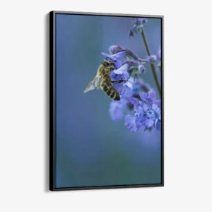 1.-Cvas-Detail-1-Blue-Range-Work