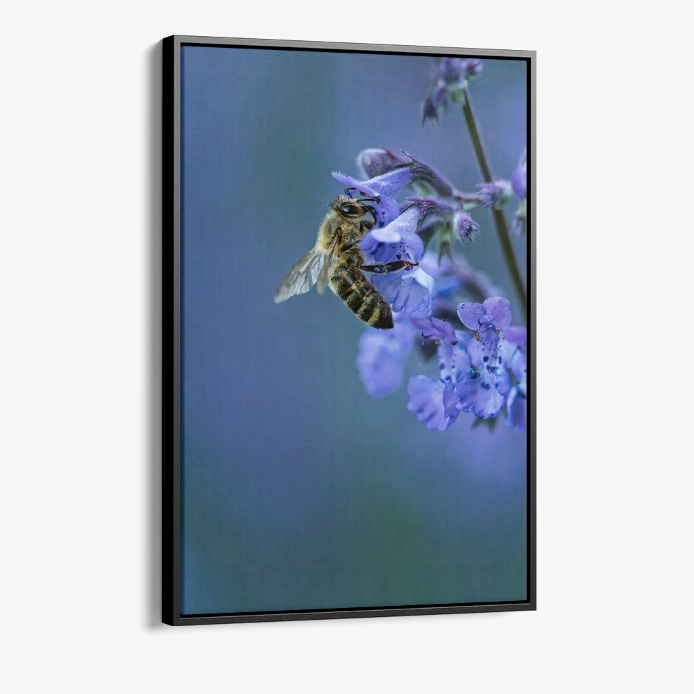 1.-Cvas-Detail-1-Blue-Range-Work