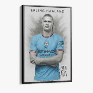 1.-Cvas-Detail-1-Erling-Haaland