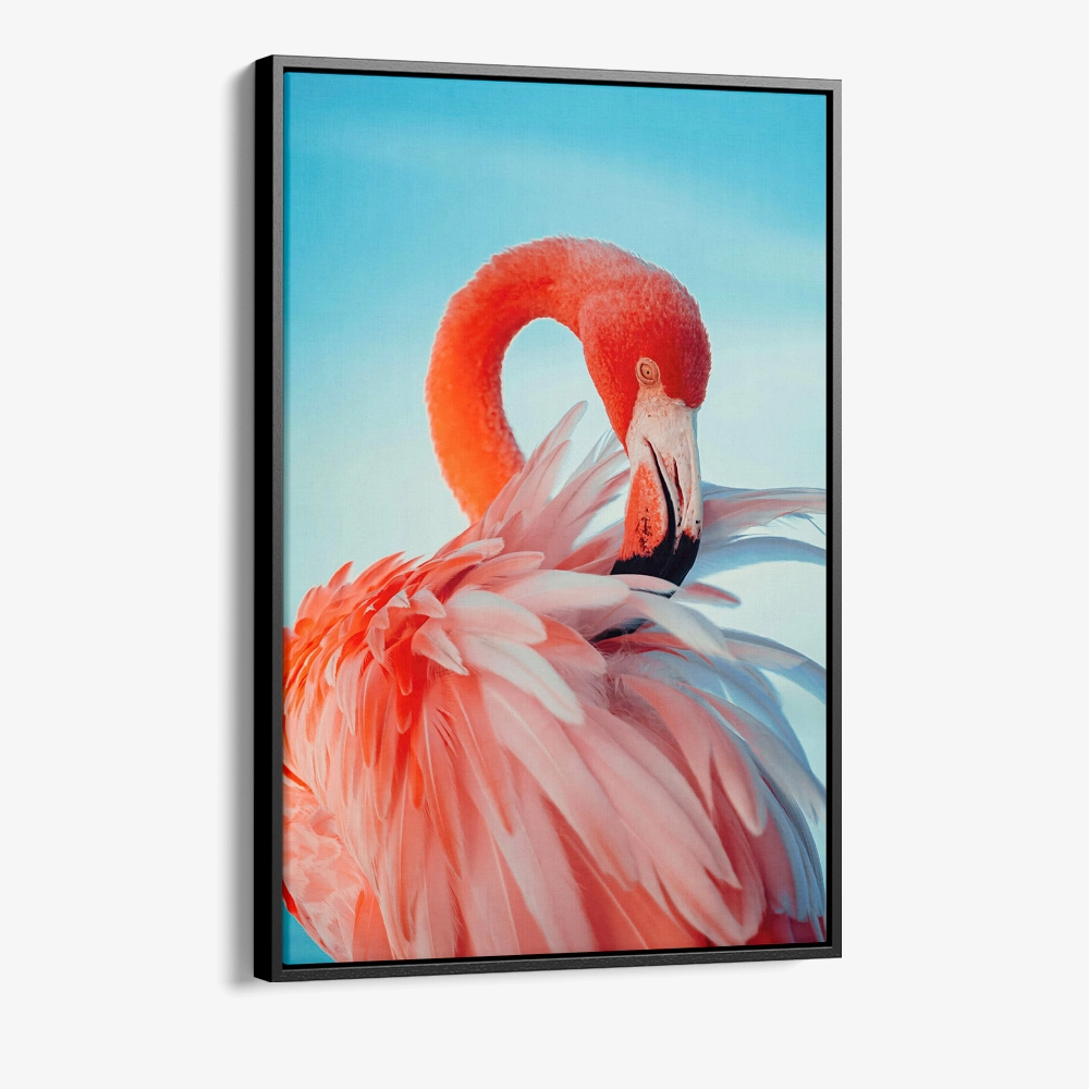 1.-Cvas-Detail-1-Featherframe