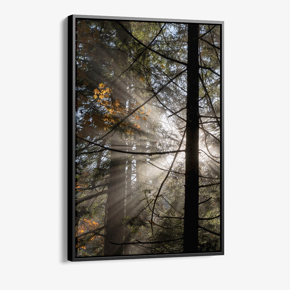 1.-Cvas-Detail-1-Line-of-Light