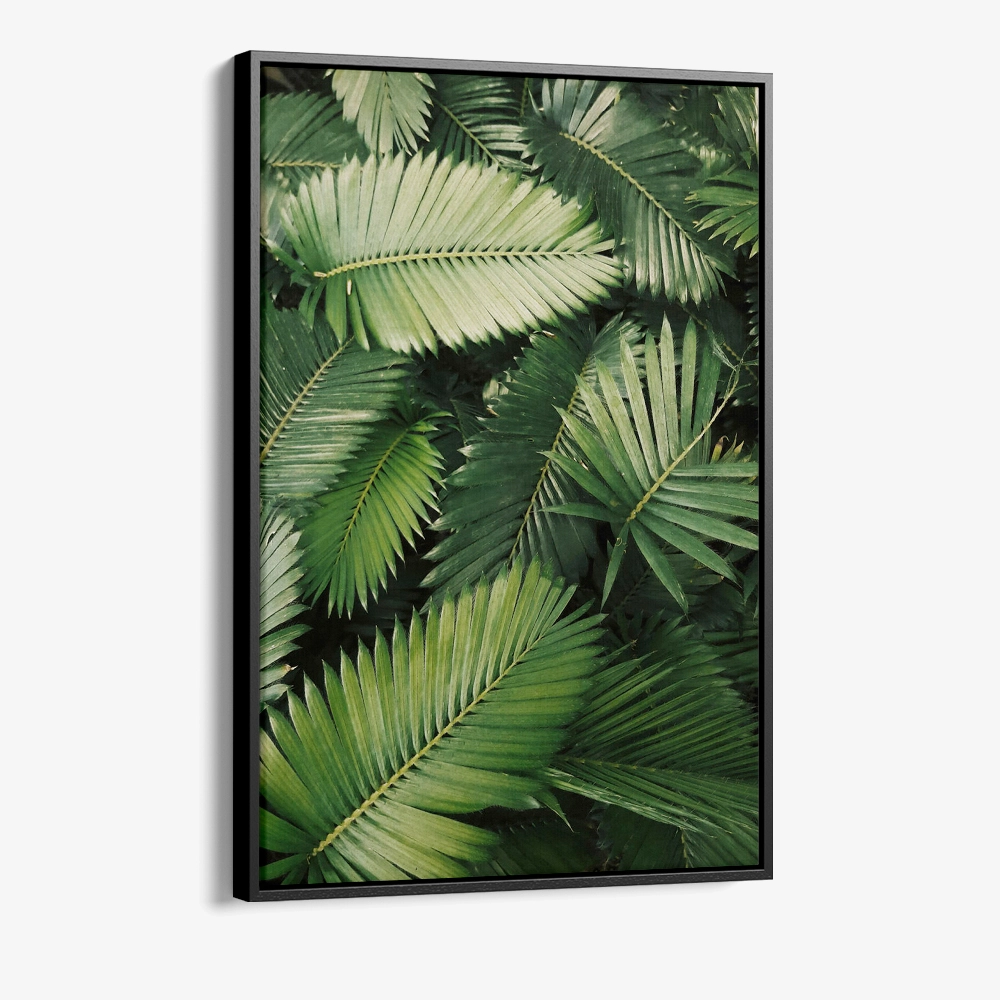 1.-Cvas-Detail-1-Tropic-Pattern