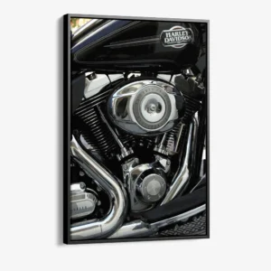 1.-Cvas-Detail-1-V-Twin-Legend