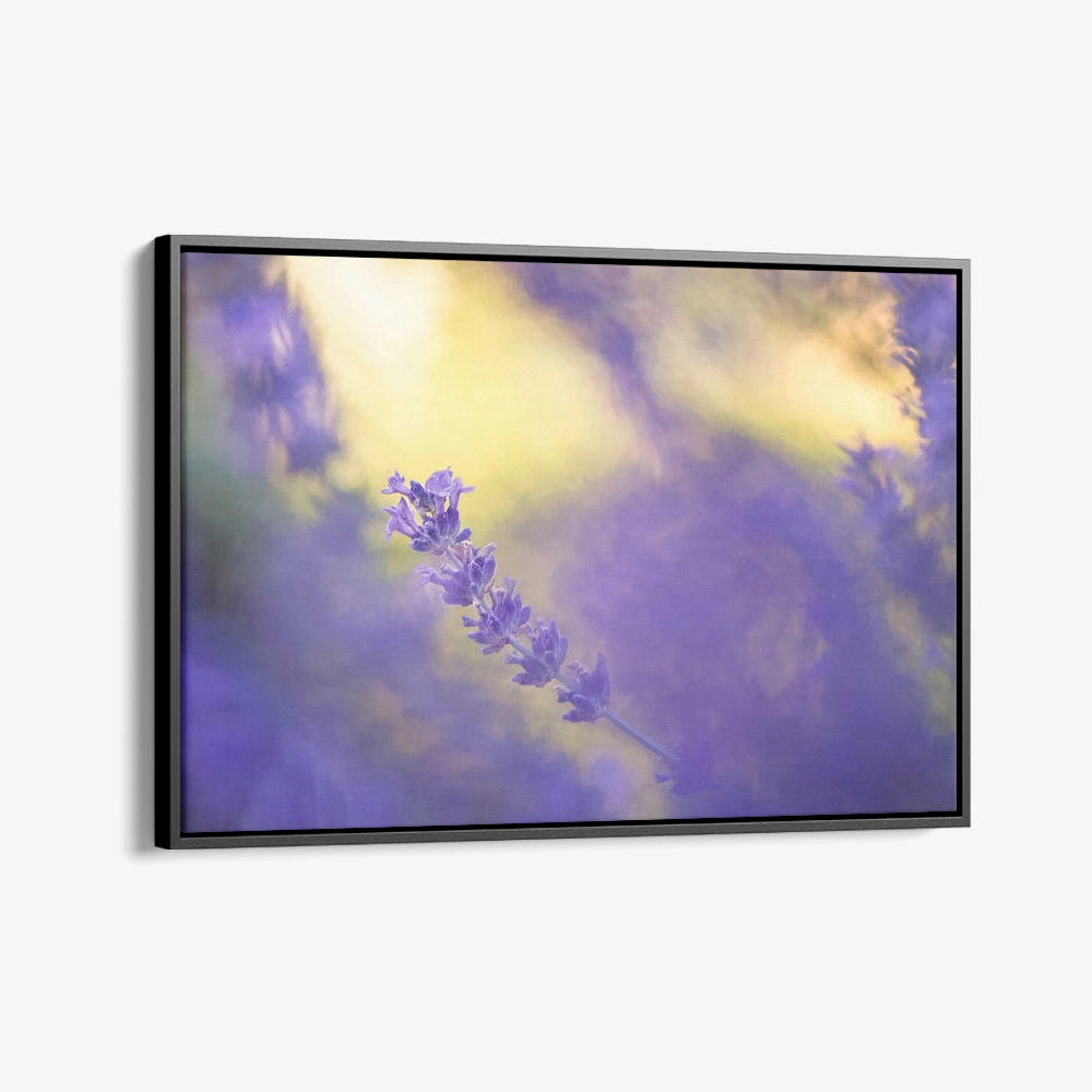 1.-Cvas-Detail-1-Violet-Frequency