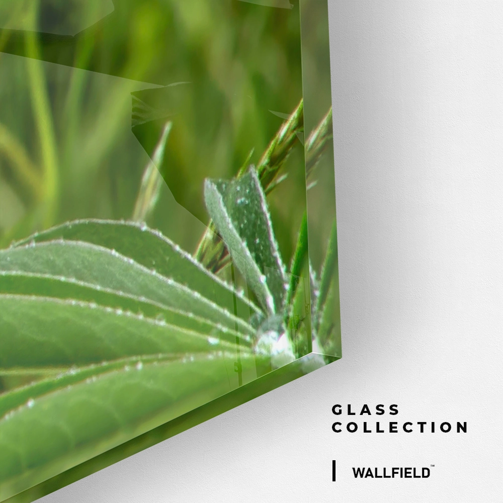 10.-Glass-Detail-2-Field-Cipher