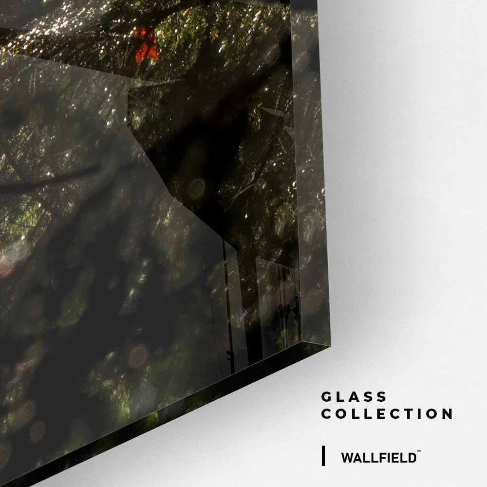 10.-Glass-Detail-2-Line-of-Light