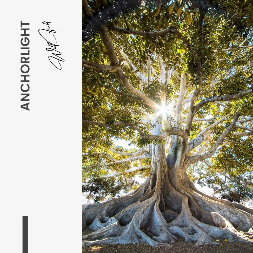 11.-Design-signature-Anchorlight