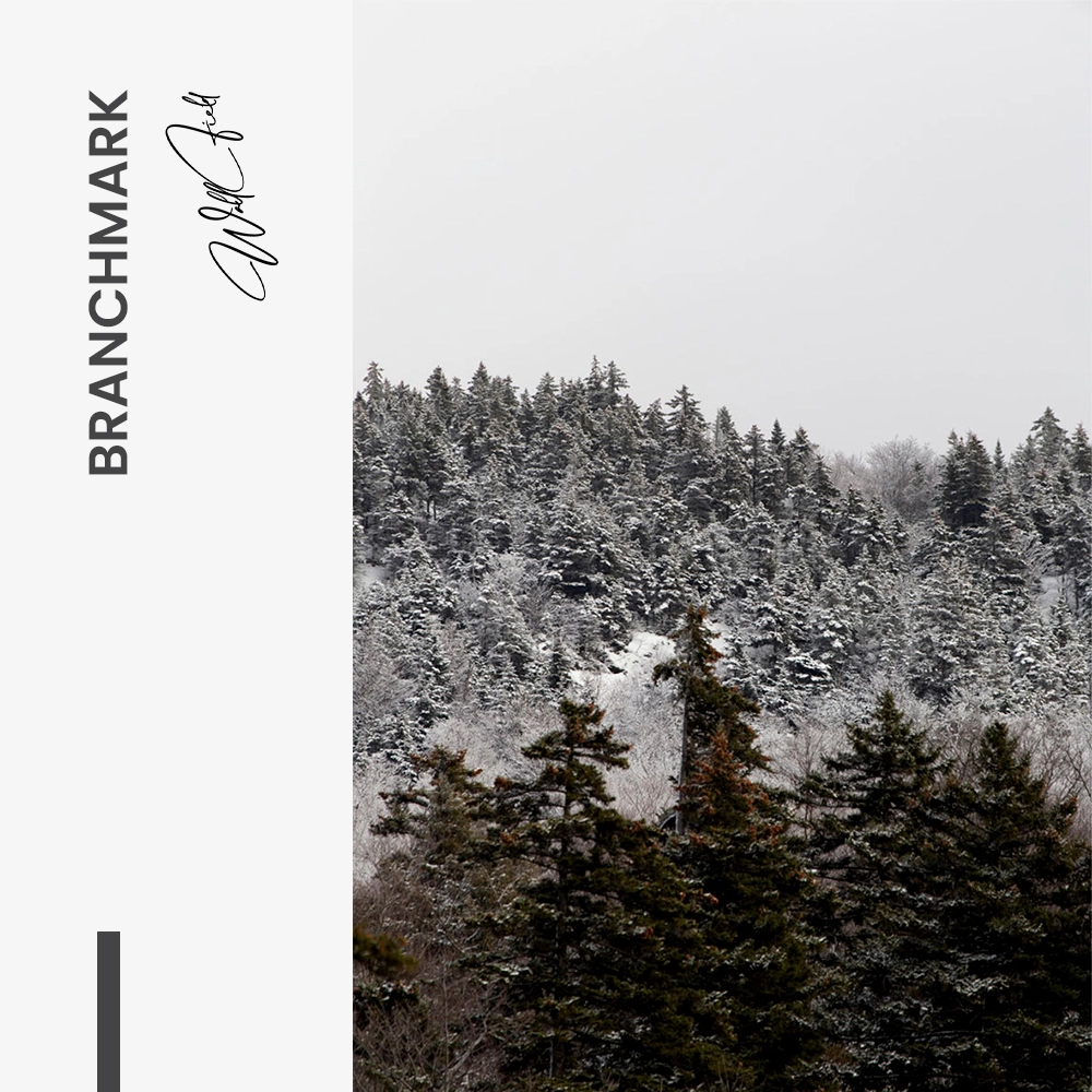 11.-Design-signature-Branchmark
