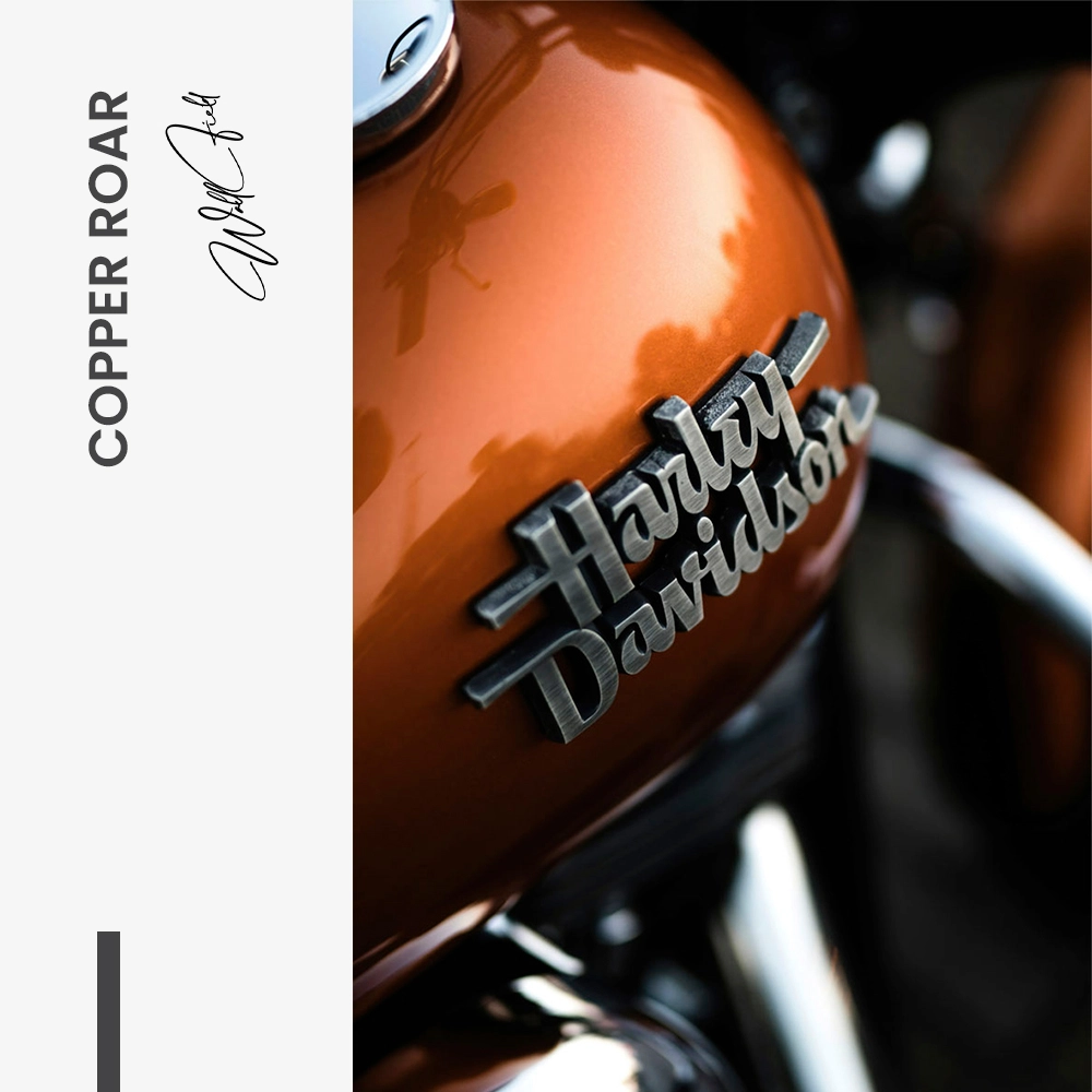 11.-Design-signature-Copper-Roar