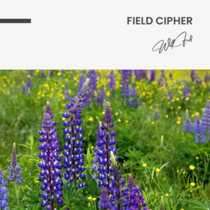 11.-Design-signature-Field-Cipher