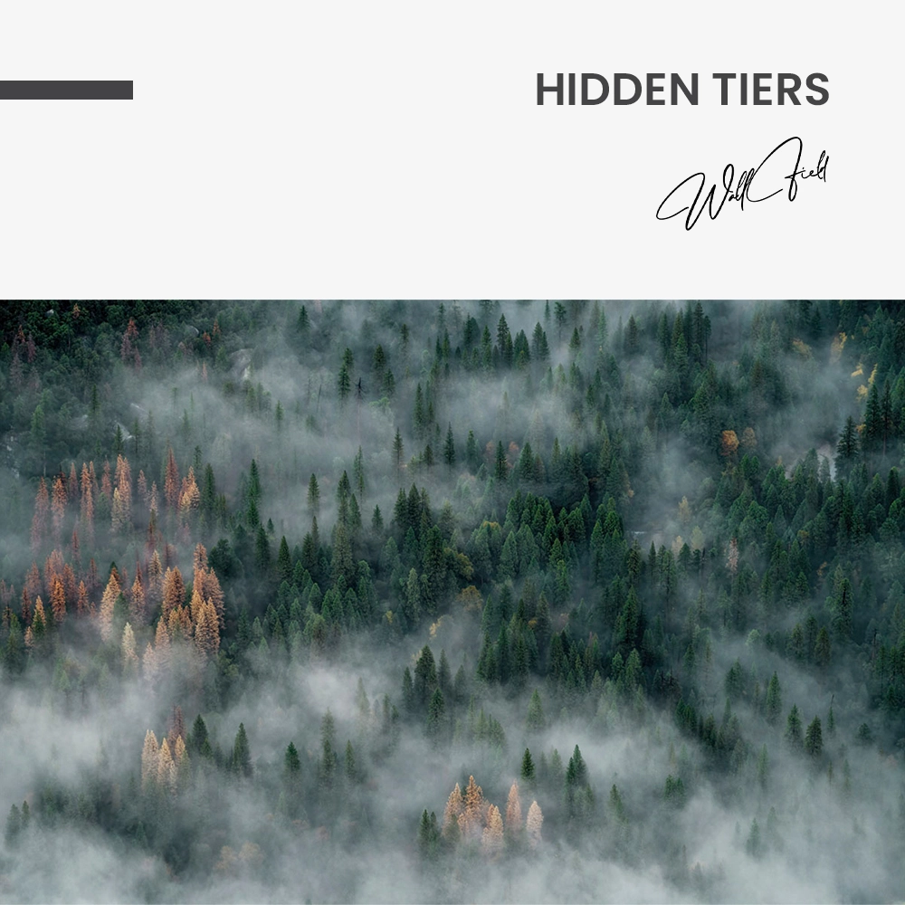 11.-Design-signature-Hidden-Tiers