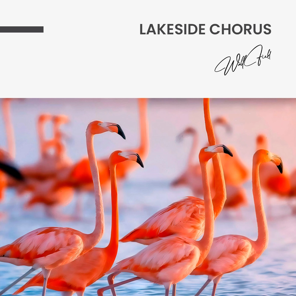 11.-Design-signature-Lakeside-Chorus