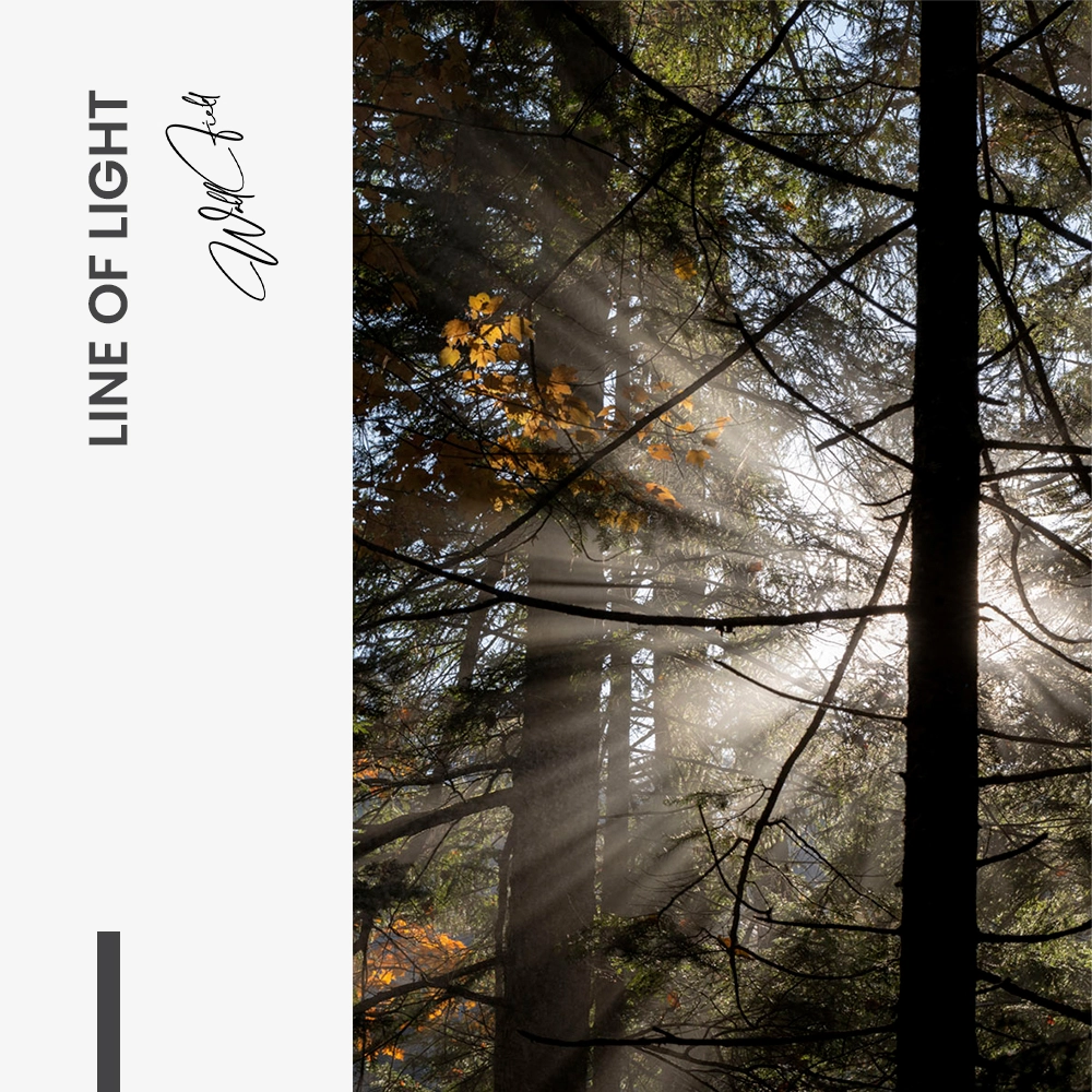 11.-Design-signature-Line-of-Light