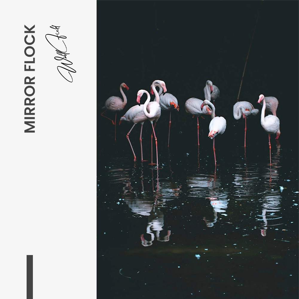 11.-Design-signature-Mirror-Flock
