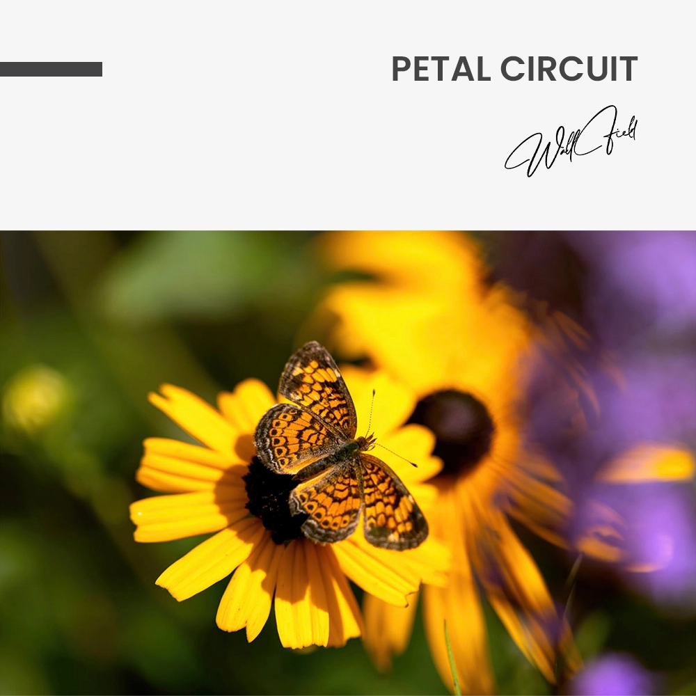 11.-Design-signature-Petal-Circuit