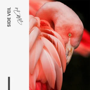 11.-Design-signature-Side-Veil