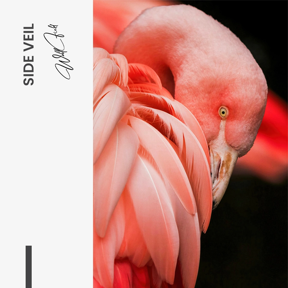 11.-Design-signature-Side-Veil