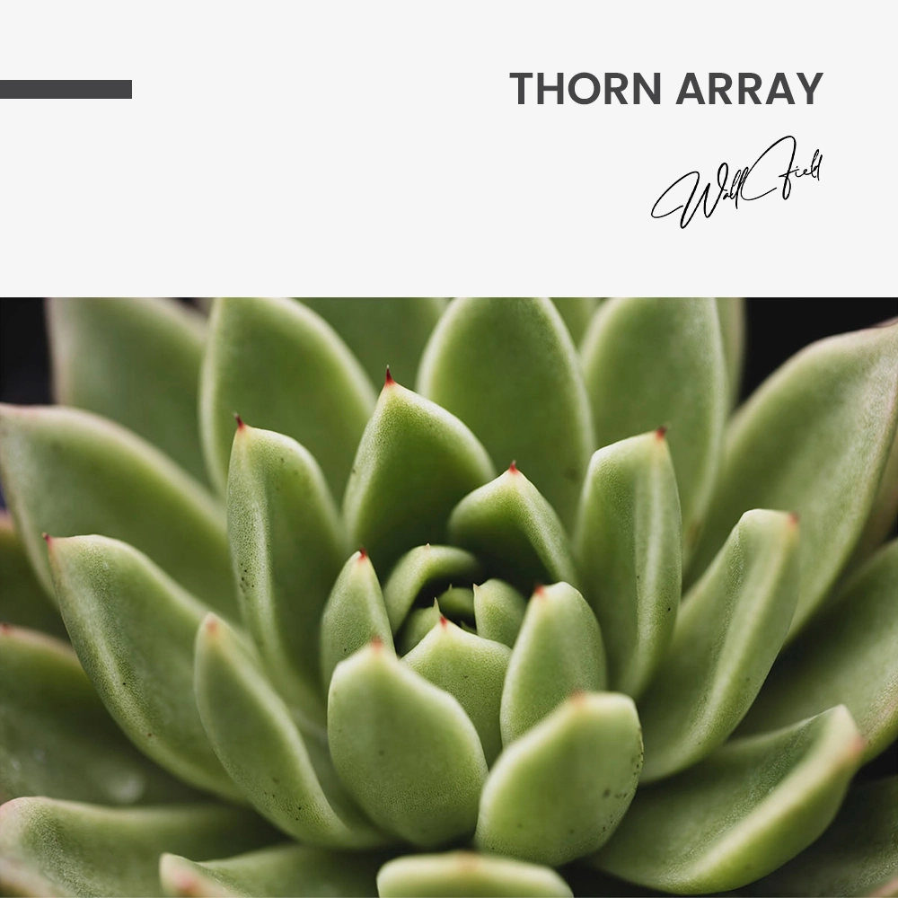 11.-Design-signature-Thorn-Array