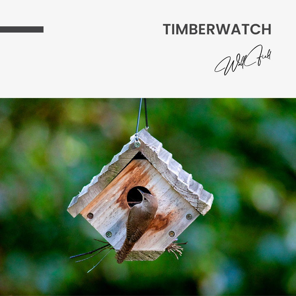 11.-Design-signature-Timberwatch