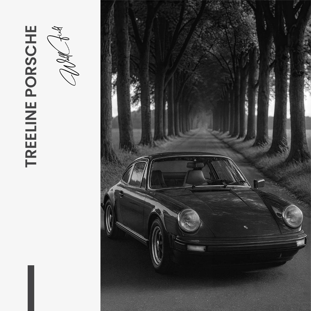 11.-Design-signature-Treeline-Porsche