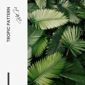 11.-Design-signature-Tropic-Pattern