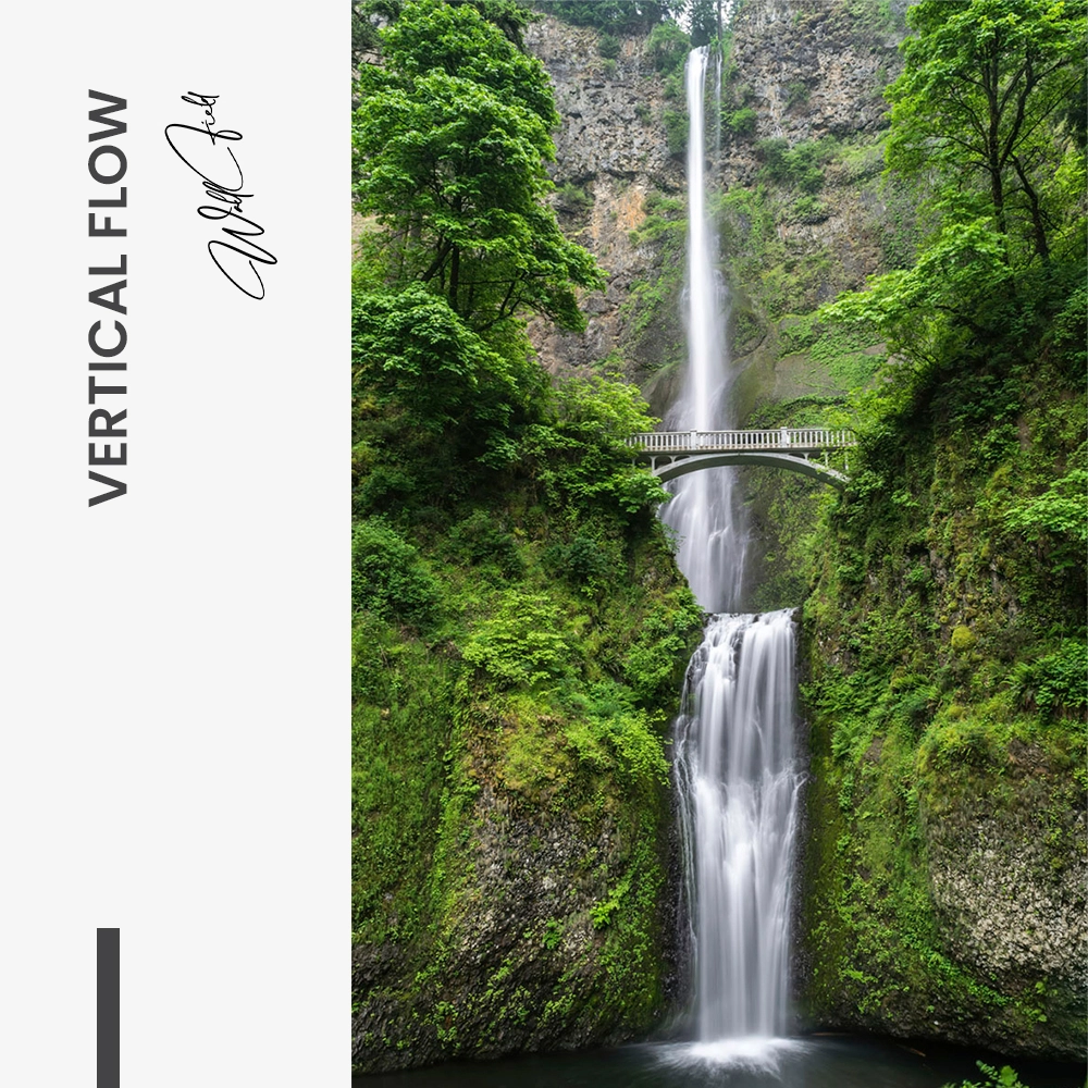 11.-Design-signature-Vertical-Flow