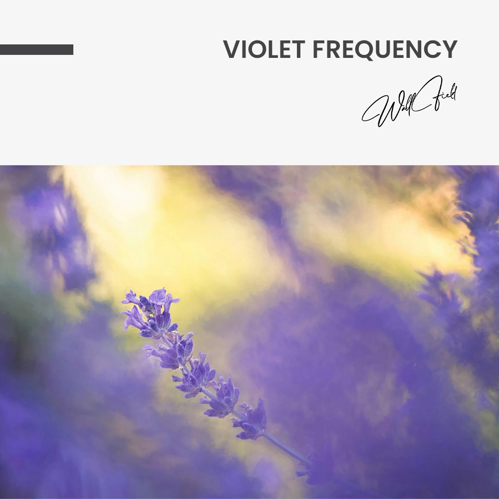 11.-Design-signature-Violet-Frequency