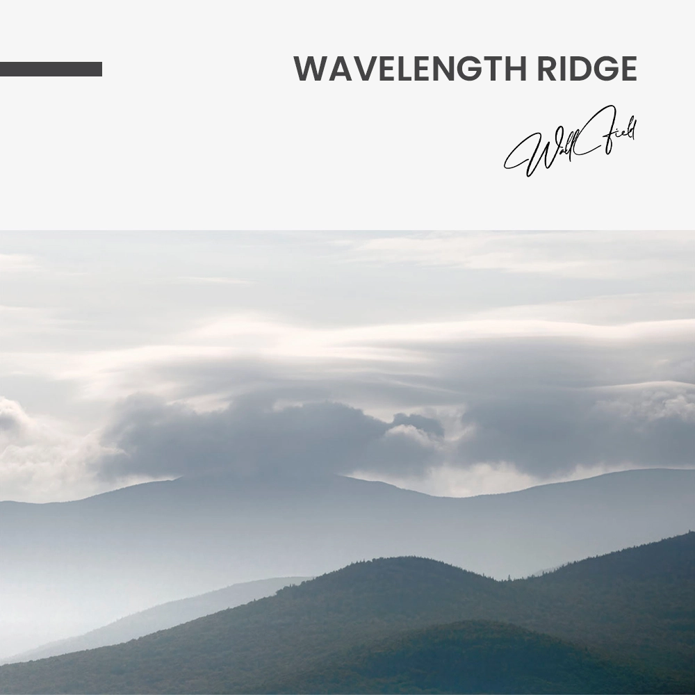 11.-Design-signature-Wavelength-Ridge