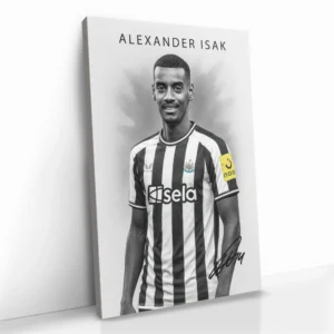 2.-Cvas-Detail-5-Alexander-Isak
