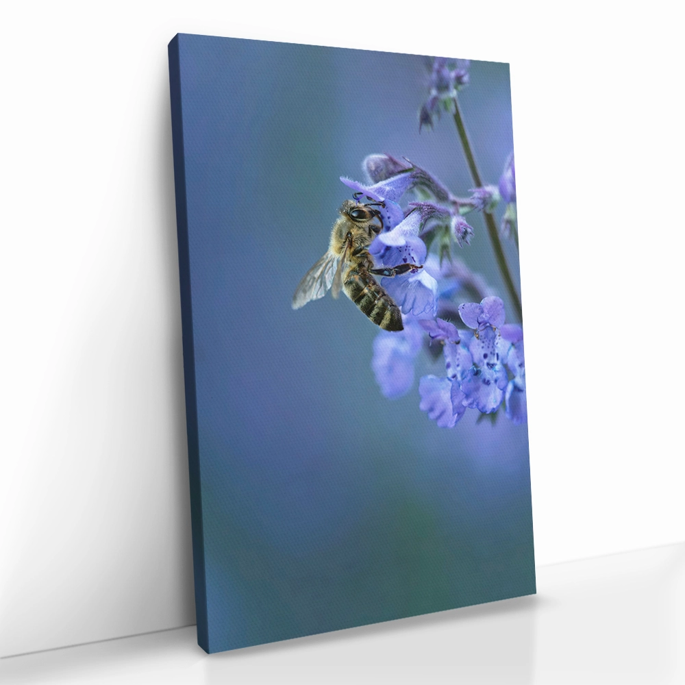 2.-Cvas-Detail-5-Blue-Range-Work