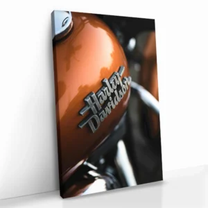 2.-Cvas-Detail-5-Copper-Roar