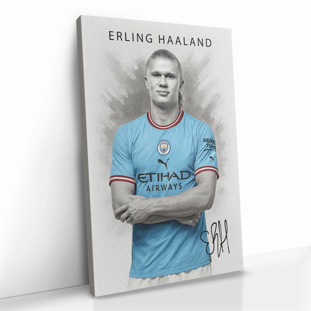 2.-Cvas-Detail-5-Erling-Haaland