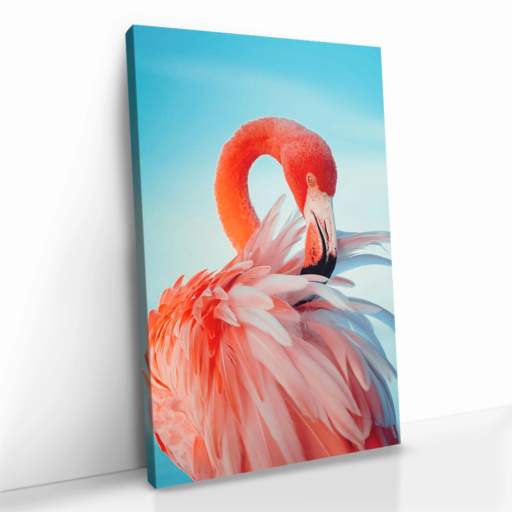 2.-Cvas-Detail-5-Featherframe