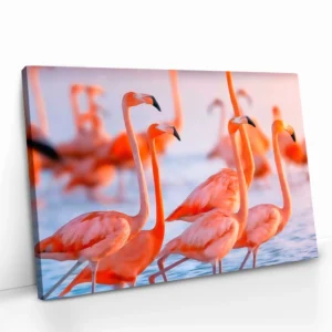 2.-Cvas-Detail-5-Lakeside-Chorus