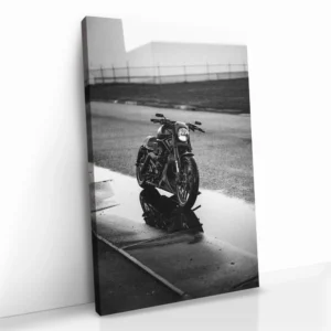 2.-Cvas-Detail-5-Lone-Rider