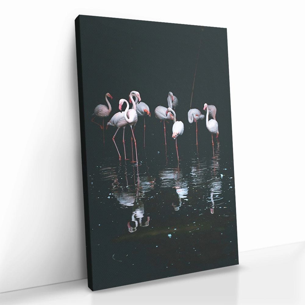 2.-Cvas-Detail-5-Mirror-Flock