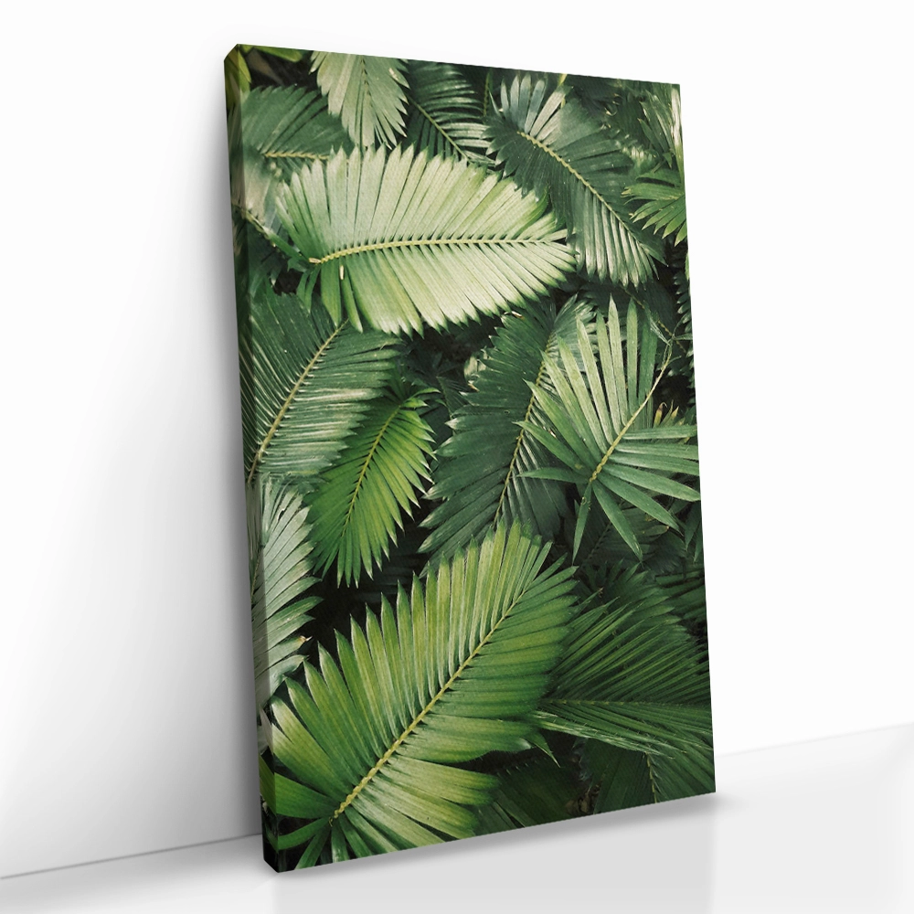 2.-Cvas-Detail-5-Tropic-Pattern