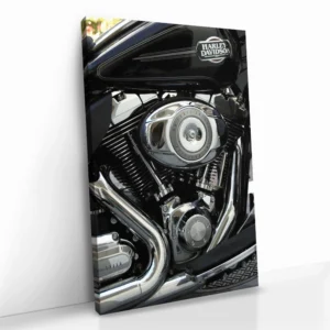 2.-Cvas-Detail-5-V-Twin-Legend