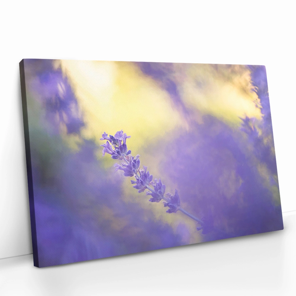 2.-Cvas-Detail-5-Violet-Frequency