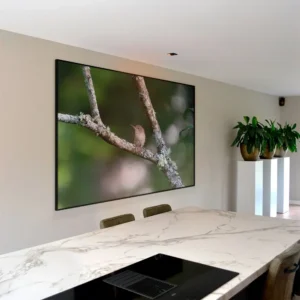 3.-Canvas-Mockup-Quiet-Operation