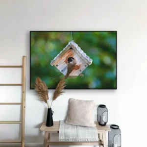 3.-Canvas-Mockup-Timberwatch