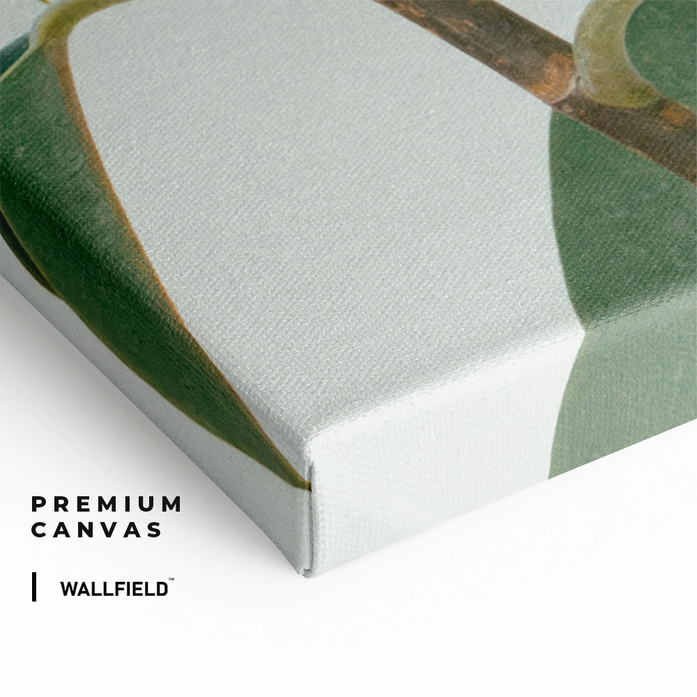 4.-Cvas-Detail-2-Soft-Structure