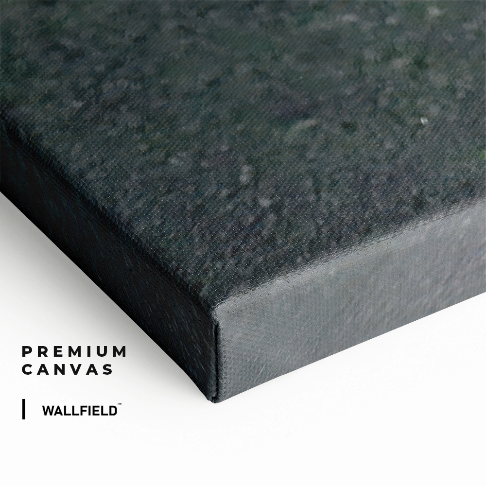 4.-Cvas-Detail-2-Track-Phantom