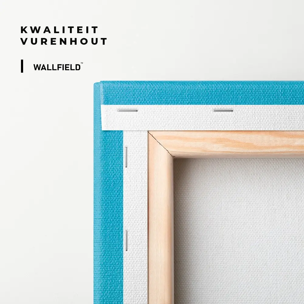 5.-Cvas-Detail-3-Featherframe