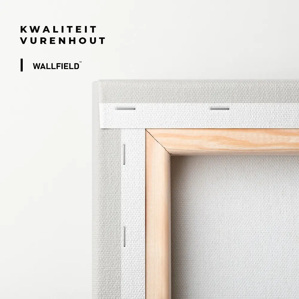 5.-Cvas-Detail-3-Lamine-Yamal