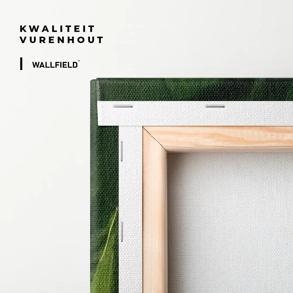 5.-Cvas-Detail-3-Tropic-Pattern