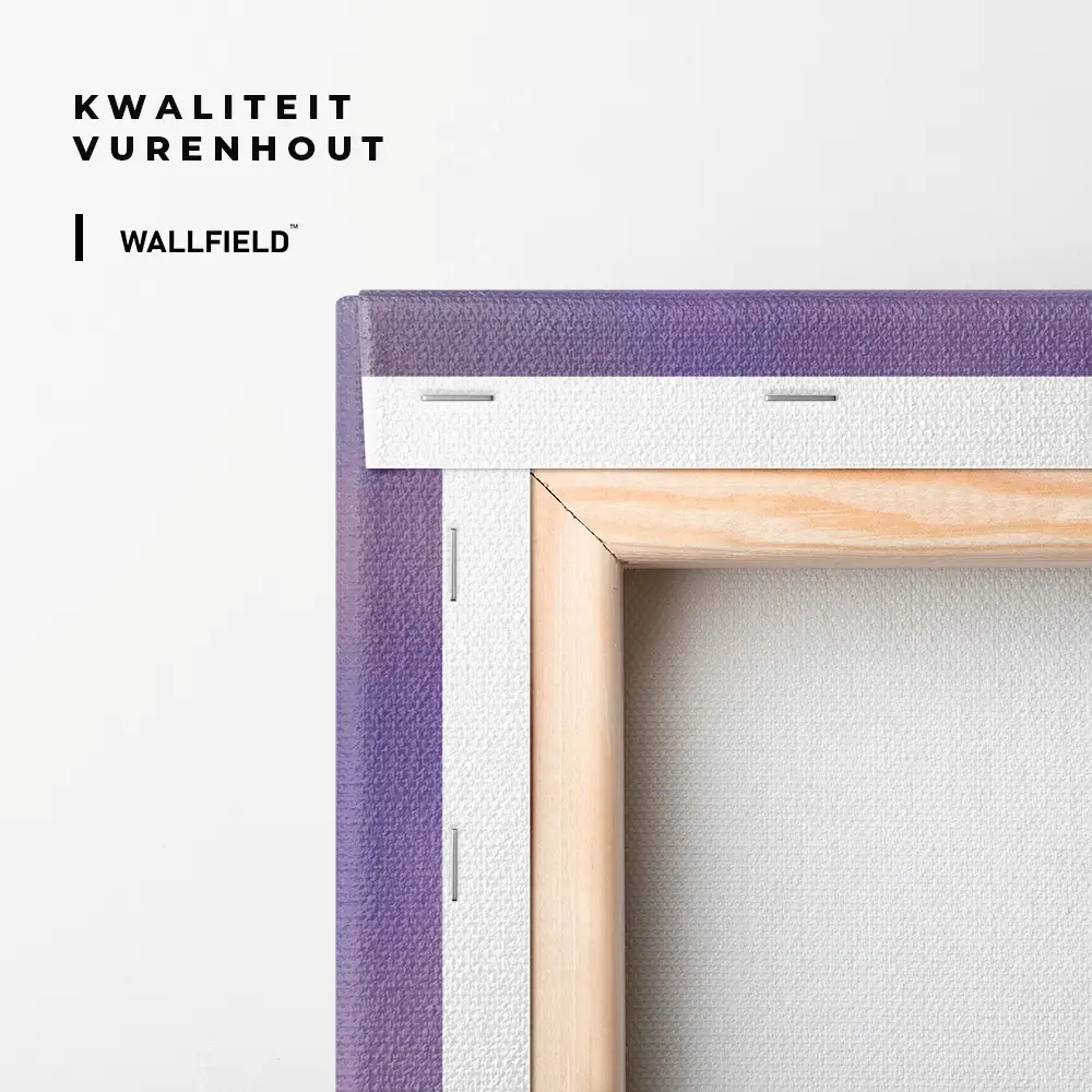 5.-Cvas-Detail-3-Violet-Frequency
