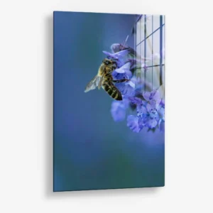 7.-Glass-Detail-1-Blue-Range-Work