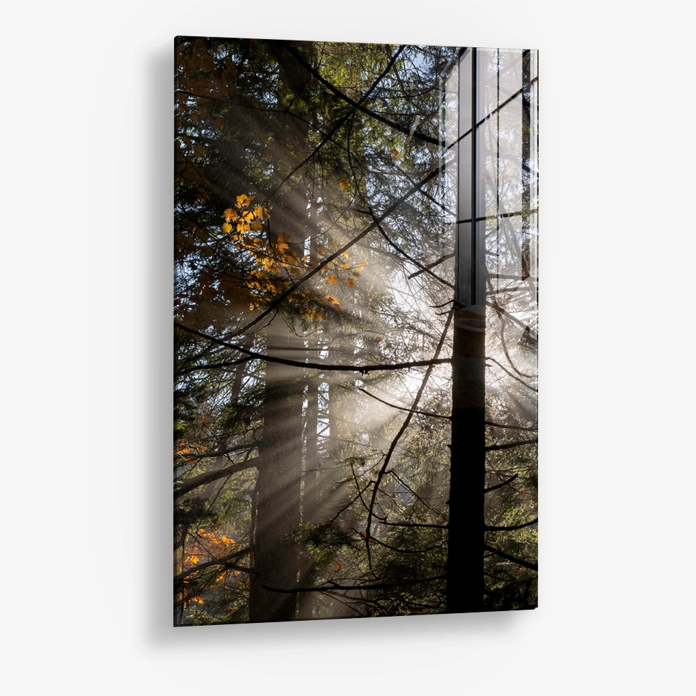 7.-Glass-Detail-1-Line-of-Light