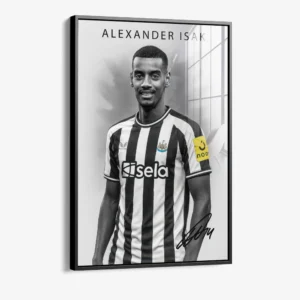 8.-Glass-Framed-Alexander-Isak